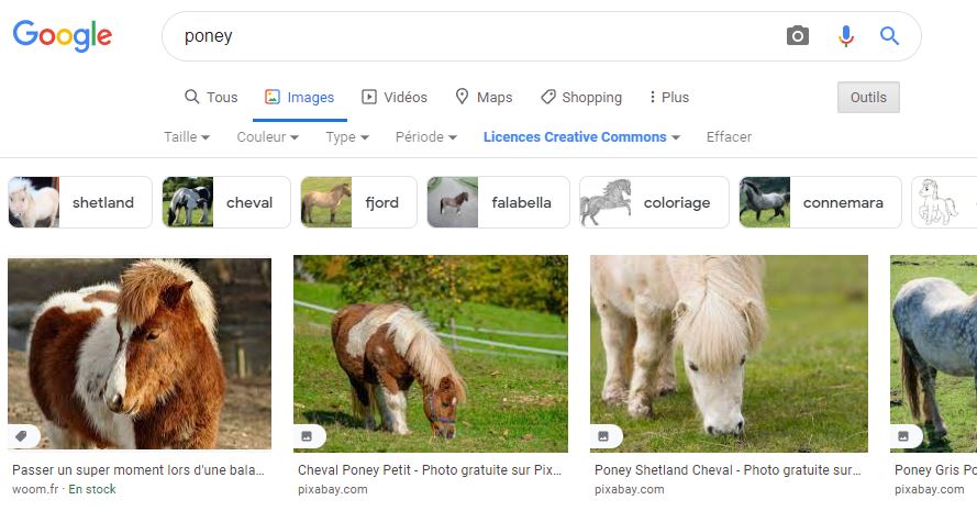 poney