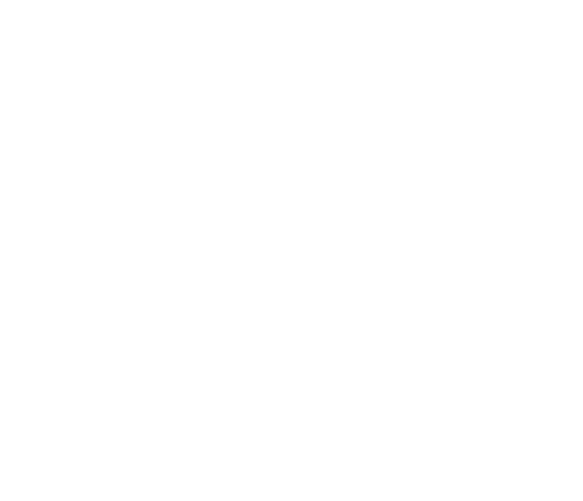 WebOrgaConsulting
